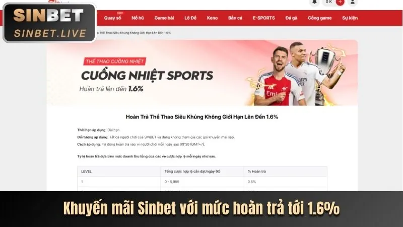 Cấp độ VIP Bạch Kim của vvvwin88 nhà cái